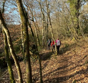 Marche nordique sur le Scaff à Kerrousseau - Pont-Scorff - 2