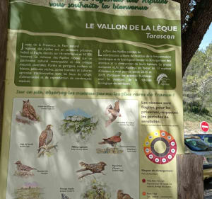 Du vallon de la Leque aux Traversières - Fontvieille - 4