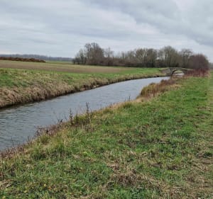 Gumery, Le long de l'Orvin - Gumery - 2