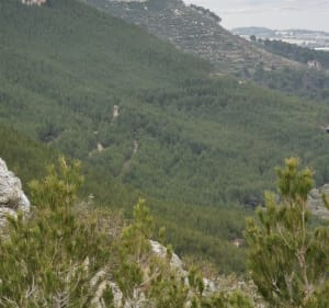 Balade de vitrolles à la croix de Rognac - Vitrolles - 2