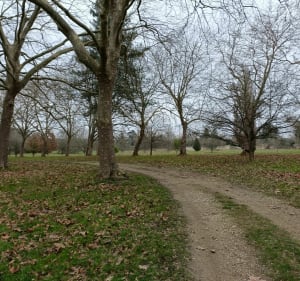 La nature et le calme dans l'arboretum de Chèvreloup - Le Chesnay-Rocquencourt - 2