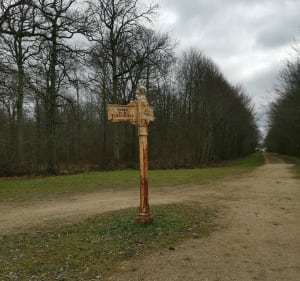 Balade en forêt de Gretz Armainvilliers- la Barrière noire - Gretz-Armainvilliers - 4