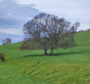 De part et d'autre de la Vallée de l'Yères - Touffreville-sur-Eu - 2