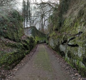 Jolie balade en forêt de la Petite Pierre Sud - Eschbourg - 4