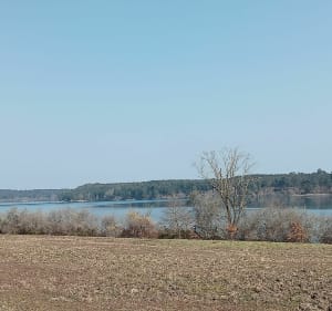 Lacs Arjuzanx - Morcenx-la-Nouvelle - 2
