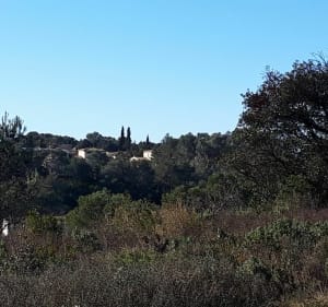 Poulx, un village au cœur de la garrigue - Cécile - 2