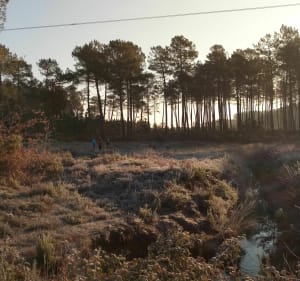 Autour de Téthieu et Pontonx en VTT - Téthieu - 2