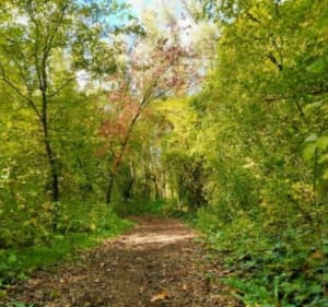 Balade dans les champs, les bois et le long du canal de Salomé - Salomé - 2