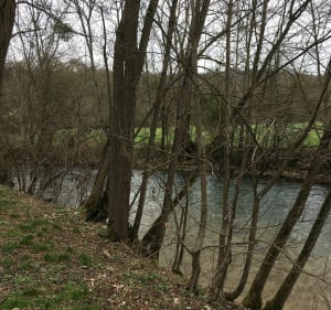 Randonnée au départ de Plombières par le Bois de Villiot - Plombières-lès-Dijon - 2