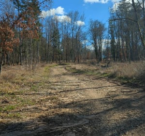 Le Chemin des Coulées - Eléonore - 3