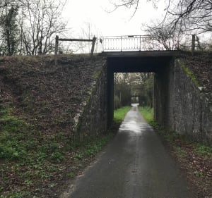 Belle petite balade dans les bois de Chateau la Vallière - Château-la-Vallière - 2