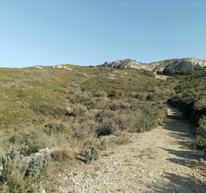 Randonnée VTT dans les collines de la Nerthe et vue sur Figuerolles - Saint-Victoret - 2