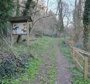 Queaux sentier sous les falaises et en bord de Vienne - Jean-Paul - 5