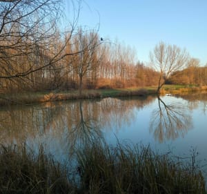 Balade au marais de la Sévenne - Saint-Just-Chaleyssin - 2