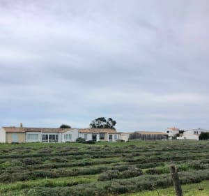 A Loix, découverte de l’ostréicultrure et du patrimoine - Loix - 2