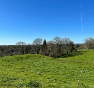 Tours de Feytiat à VTT - Feytiat - 2
