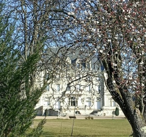 Randonnée nature sur une partie du GR3 - Azay-le-Rideau - 5