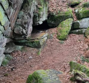 Parcours du Long Rocher - Fontainebleau - 2