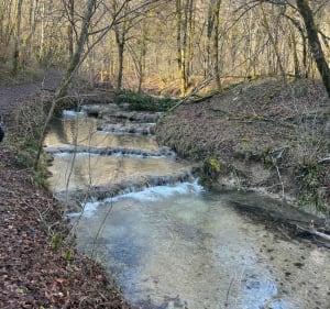 Randonnée Val Suzon - Saint-Martin-du-Mont - 2