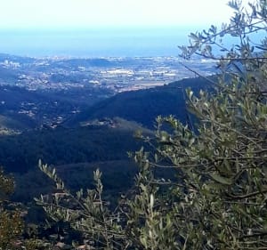 Boucle de Grasse à Cabris pour une vue panoramique - Magali - 4