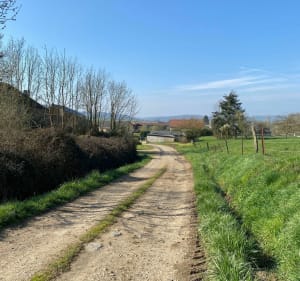 Hauteurs de Nouvion-sur-Meuse par les Auges - Nouvion-sur-Meuse - 2