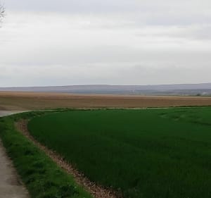 Superbe balade sur le plateau du Saint-Ouen - Igoville - 2