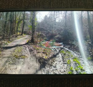 Lac aux Armées au fil de l'eau entre forêt et champs - Méry-és-Bois - 2
