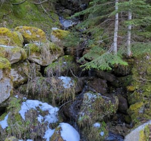 Petite balade en Vallée du Boréon - Saint-Martin-Vésubie - 3