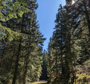 Korte wandeling in de Boréonvallei - Saint-Martin-Vésubie - 2