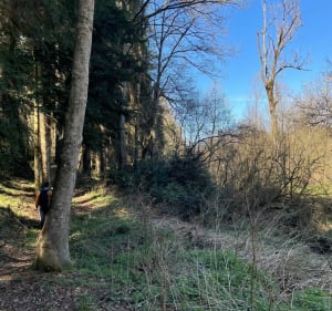 Entre marais et coulée de lave - DAMIEN - 4