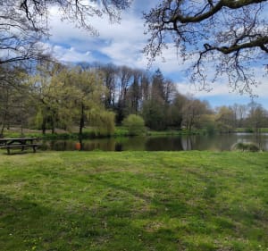 Circuit des Meuniers - Stacy - 3