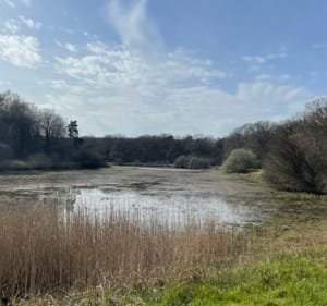 De L'Enfer à l'Evangile en passant par le Marchais aux Prêtres à VTC - Chevilly - 2