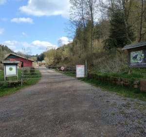 Aux deux chèvreries de Windstein et de Niedersteinbach à vélo - Gœrsdorf - 2