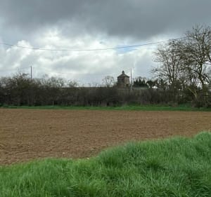 Marche à l'Isle Jourdain - L'Isle-Jourdain - 2