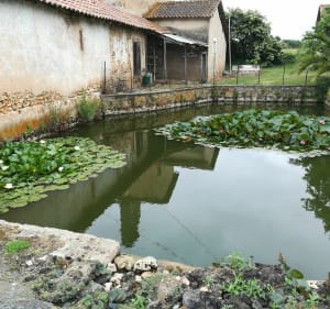 Balade sur les  hauteurs Sanilhac - Sanilhac - 2