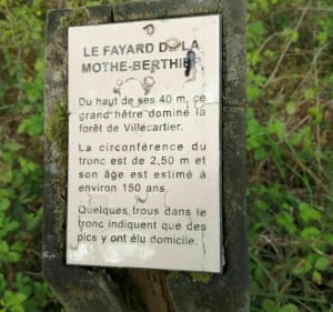 Les petits monuments de Trans la forêt - Bazouges-la-Pérouse - 2