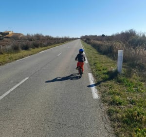 Balade à vélo dans les étangs autour des Saintes-Maries-de-la-Mer - Saintes-Maries-de-la-Mer - 2