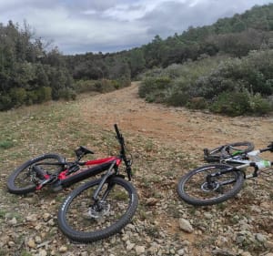 VTT Narbonne forêt Domaniale de Font froide - Narbonne - 2