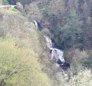Gimel circuit en forêt - Gimel-les-Cascades - 2