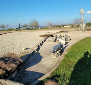 Haven van Giffaumont-Champaubert vanaf het VVV-kantoor van het meer - Giffaumont-Champaubert - 2