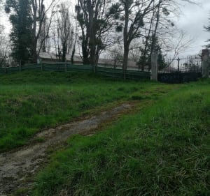 Canal de l'Ourcq et bois de Morfondé - Villeparisis - 2