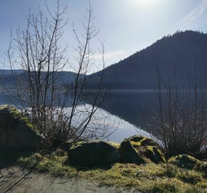 Le tour du lac de Gérardmer - Gérardmer - 5