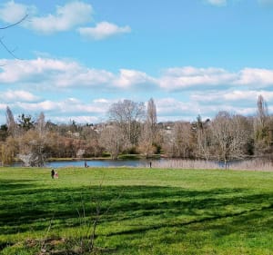 Au bord de l'Orge entre Morsang et Épinay - Morsang-sur-Orge - 2
