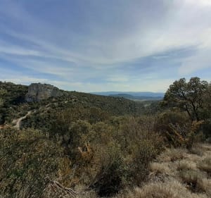 Dans le haut des Bassacs - DENIS - 2