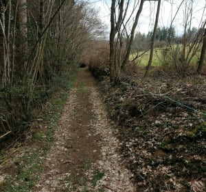 Chemin des huits Croix Vergheas - Vergheas - 2