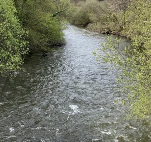 Petite boucle  à Tessy-sur-Vire - Tessy-Bocage - 2