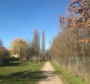 Petite balade à Kilstett par la Gravière - YANNICK - 4