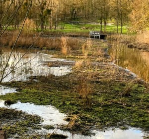 Le long de la Bièvre par le bassin Damoiseaux - Verrières-le-Buisson - 2