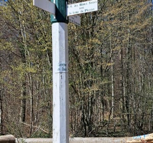 Belle balade à Ansacq en traversant la forêt de Laneuville - Ansacq - 2