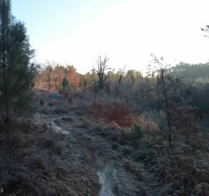 De Téthieu à Pontonx par les singles en VTT - Téthieu - 2